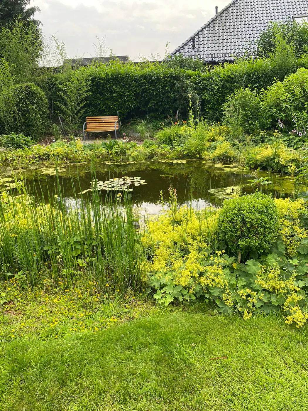 Garten- & Landschaftsbau – ausgeführtes Projekt 9